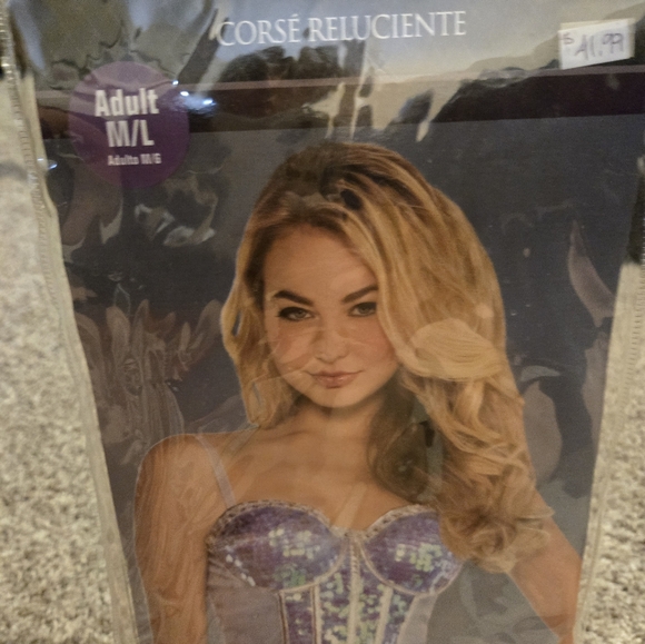 NWT Glistening Corset - Picture 7 of 7